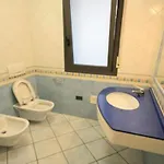 Dei Pini Rimini